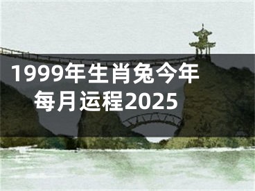 1999年生肖兔今年每月运程2025