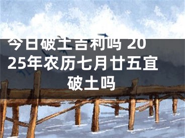 今日破土吉利吗 2025年农历七月廿五宜破土吗