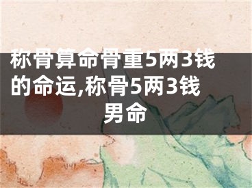 称骨算命骨重5两3钱的命运,称骨5两3钱男命