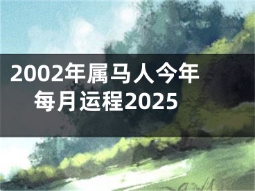2002年属马人今年每月运程2025