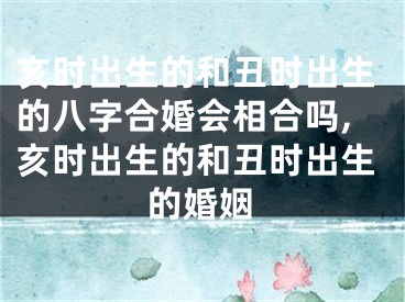 亥时出生的和丑时出生的八字合婚会相合吗,亥时出生的和丑时出生的婚姻