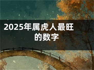 2025年属虎人最旺的数字