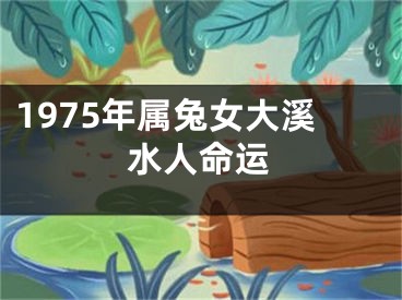 1975年属兔女大溪水人命运