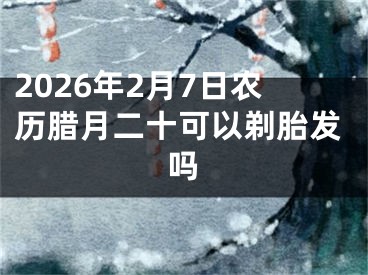 2026年2月7日农历腊月二十可以剃胎发吗