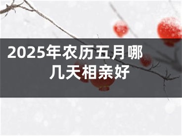 2025年农历五月哪几天相亲好