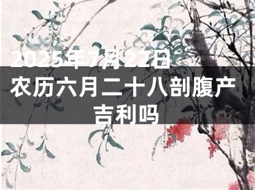 2025年7月22日农历六月二十八剖腹产吉利吗