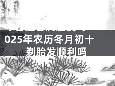 今日适合剃胎发吗 2025年农历冬月初十剃胎发顺利吗