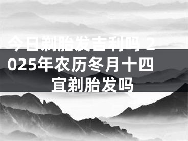 今日剃胎发吉利吗 2025年农历冬月十四宜剃胎发吗