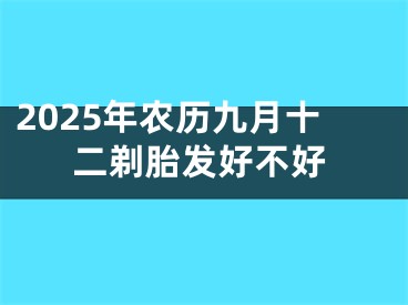 2025年农历九月十二剃胎发好不好
