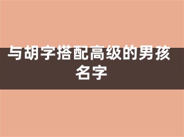 与胡字搭配高级的男孩名字