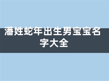 潘姓蛇年出生男宝宝名字大全