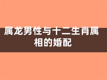 属龙男性与十二生肖属相的婚配