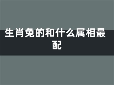 生肖兔的和什么属相最配