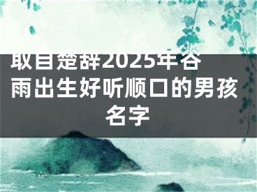 取自楚辞2025年谷雨出生好听顺口的男孩名字