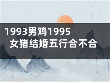 1993男鸡1995女猪结婚五行合不合