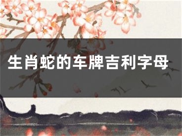 生肖蛇的车牌吉利字母