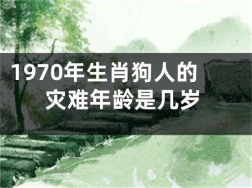 1970年生肖狗人的灾难年龄是几岁