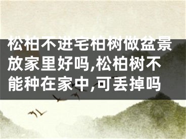 松柏不进宅柏树做盆景放家里好吗,松柏树不能种在家中,可丢掉吗