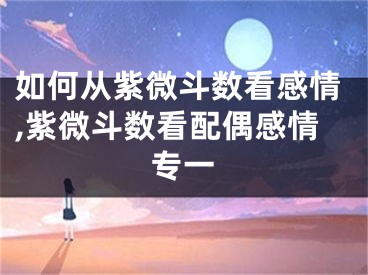 如何从紫微斗数看感情,紫微斗数看配偶感情专一