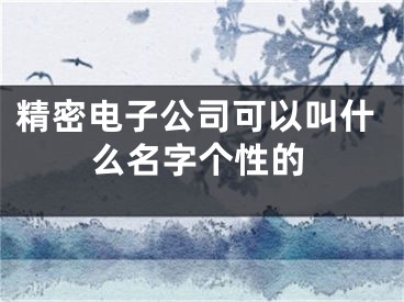 精密电子公司可以叫什么名字个性的