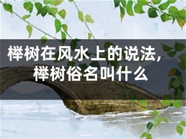 榉树在风水上的说法,榉树俗名叫什么