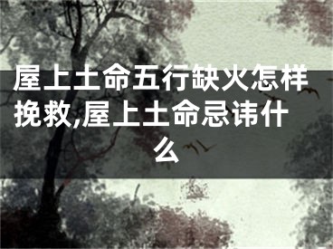 屋上土命五行缺火怎样挽救,屋上土命忌讳什么