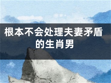 根本不会处理夫妻矛盾的生肖男