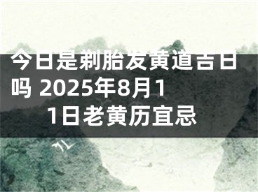 今日是剃胎发黄道吉日吗 2025年8月11日老黄历宜忌