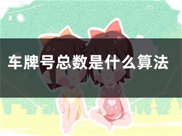 车牌号总数是什么算法