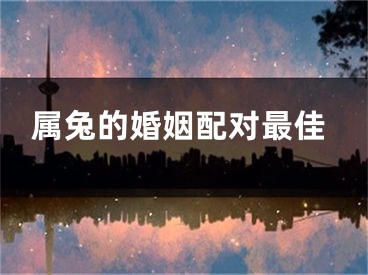 属兔的婚姻配对最佳