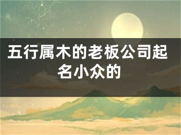 五行属木的老板公司起名小众的
