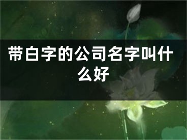 带白字的公司名字叫什么好
