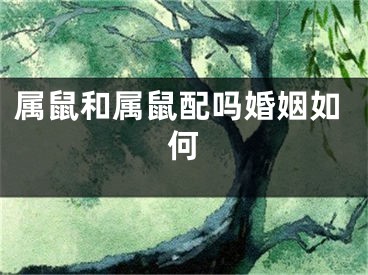属鼠和属鼠配吗婚姻如何