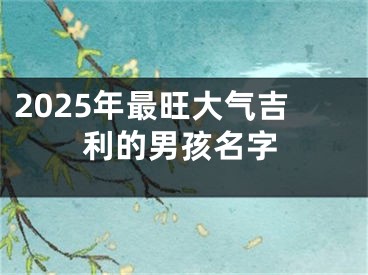 2025年最旺大气吉利的男孩名字