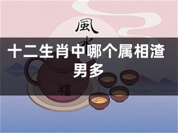 十二生肖中哪个属相渣男多