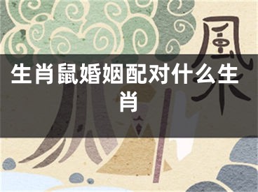 生肖鼠婚姻配对什么生肖