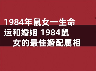 1984年鼠女一生命运和婚姻 1984鼠女的最佳婚配属相