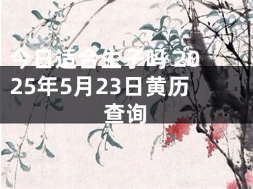 今日适合生子吗 2025年5月23日黄历查询