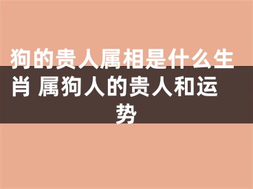 狗的贵人属相是什么生肖 属狗人的贵人和运势