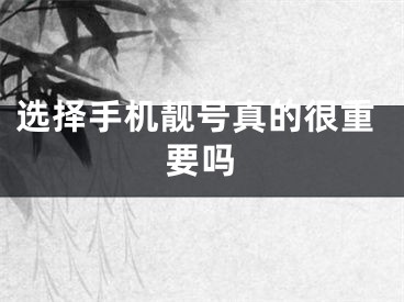 选择手机靓号真的很重要吗