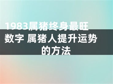1983属猪终身最旺数字 属猪人提升运势的方法