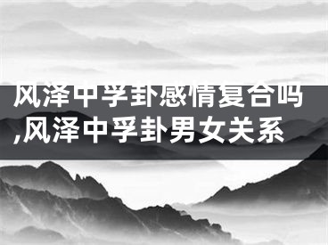 风泽中孚卦感情复合吗,风泽中孚卦男女关系
