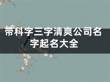 带科字三字清爽公司名字起名大全