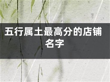 五行属土最高分的店铺名字