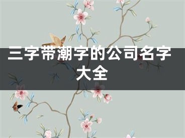 三字带潮字的公司名字大全
