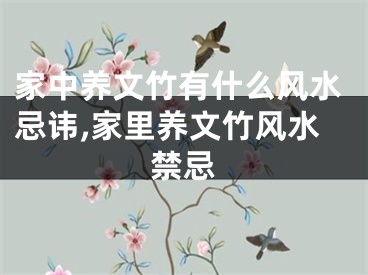 家中养文竹有什么风水忌讳,家里养文竹风水禁忌