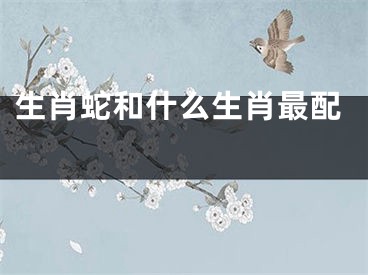 生肖蛇和什么生肖最配 