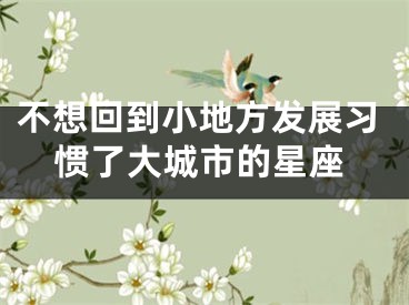 不想回到小地方发展习惯了大城市的星座