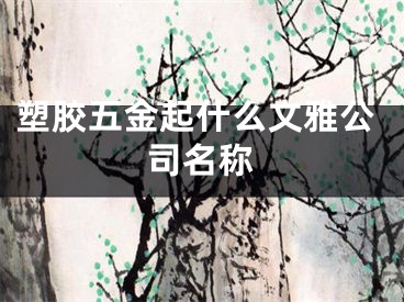 塑胶五金起什么文雅公司名称