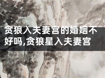贪狼入夫妻宫的婚姻不好吗,贪狼星入夫妻宫